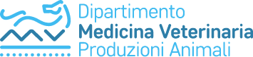 MVPA — Università di Napoli Federico II