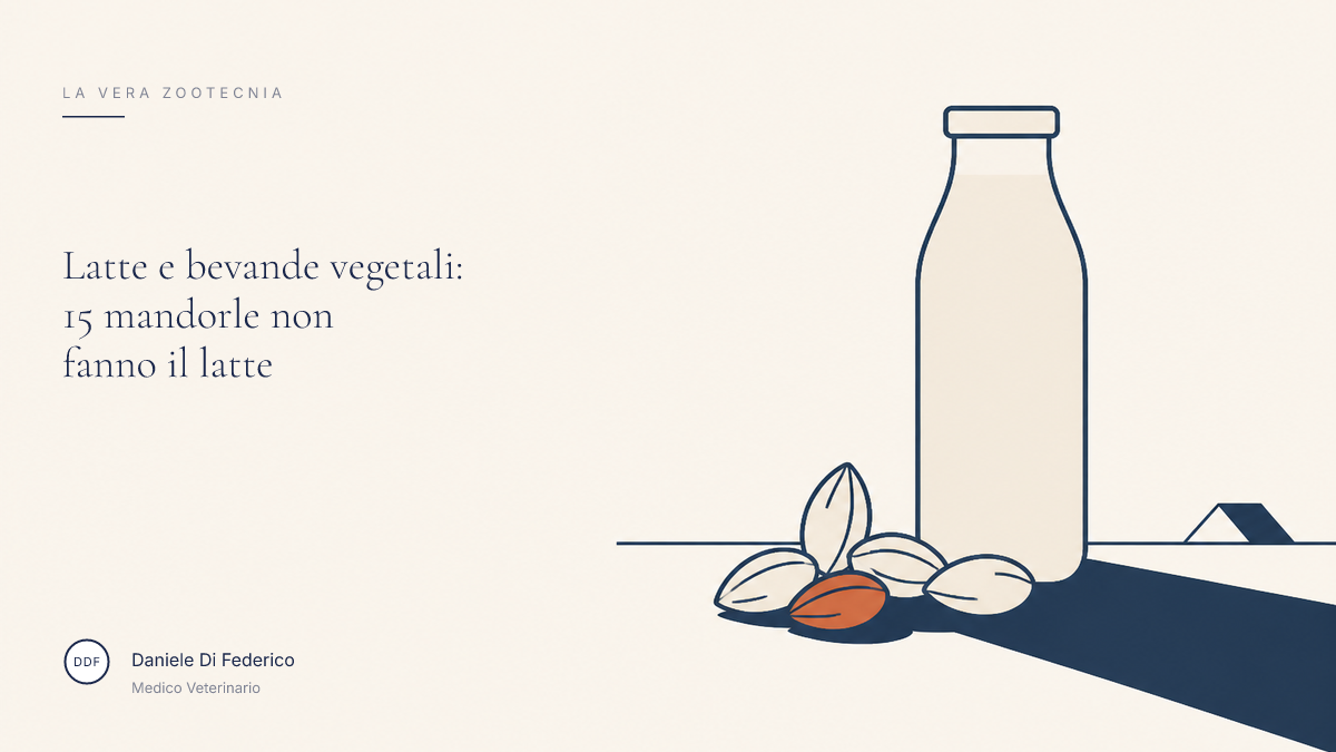 Latte e bevande vegetali: 15 mandorle non fanno il latte Latte e bevande vegetali: 15 mandorle non fanno il latte