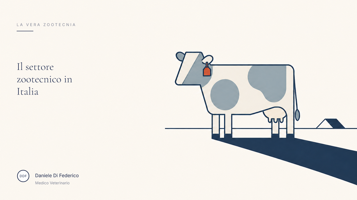 Copertina della panoramica del settore zootecnico in Italia di Daniele Di Federico, Medico Veterinario. Copertina Il settore zootecnico in Italia: illustrazione di una mucca, marchio La vera zootecnia, Daniele Di Federico Medico Veterinario