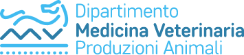 MVPA — Università di Napoli Federico II